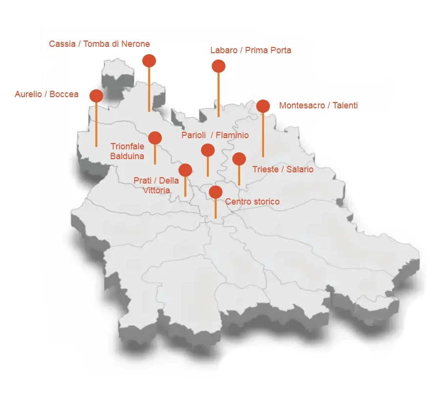Mappa delle zone servite a Roma